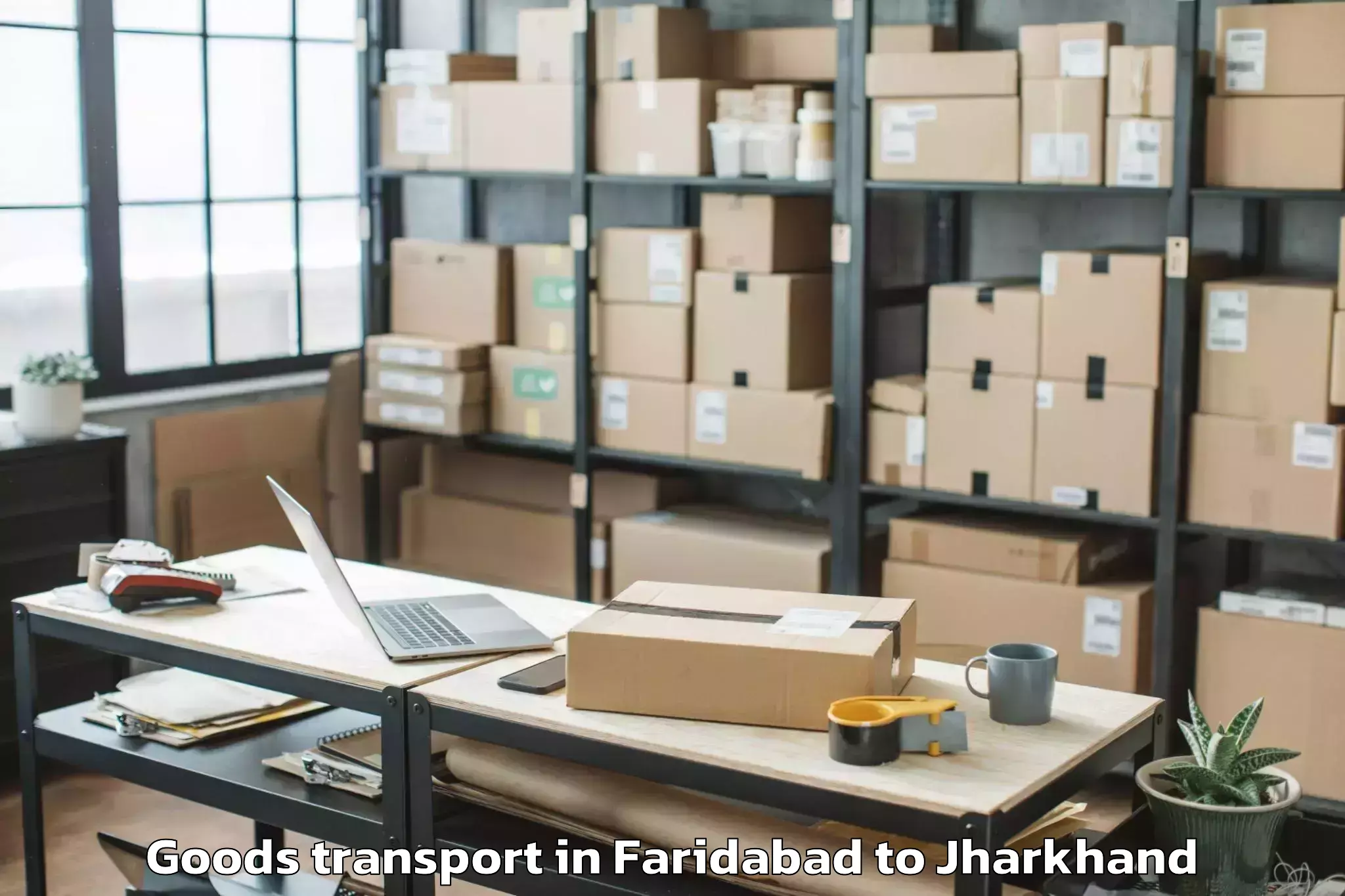 Professional Faridabad to Sarubera Goods Transport